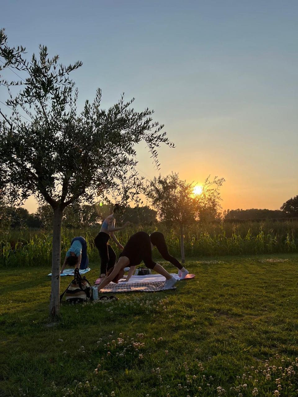 Riapertura-Podere-Leoni-11