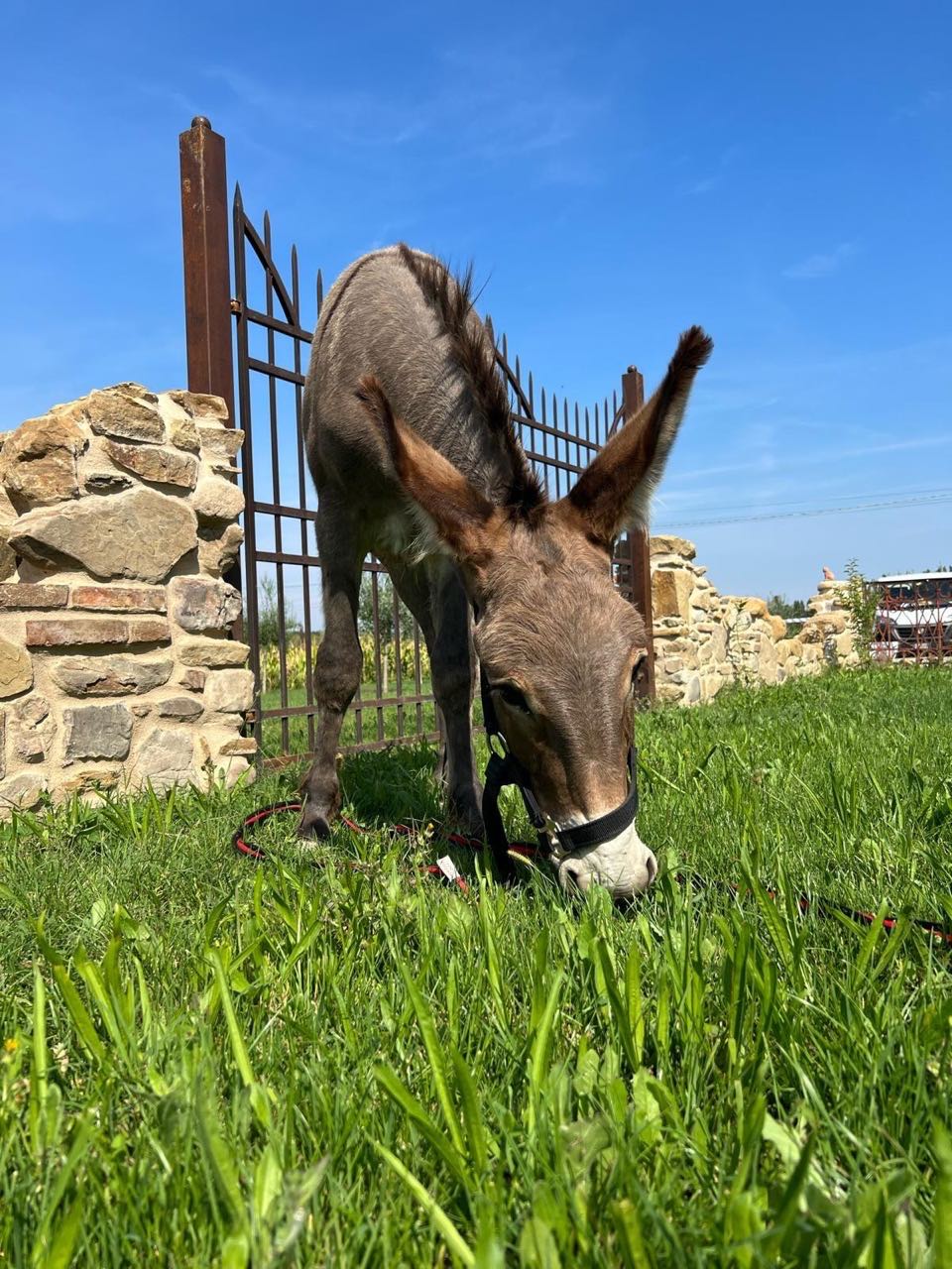 Riapertura-Podere-Leoni-13