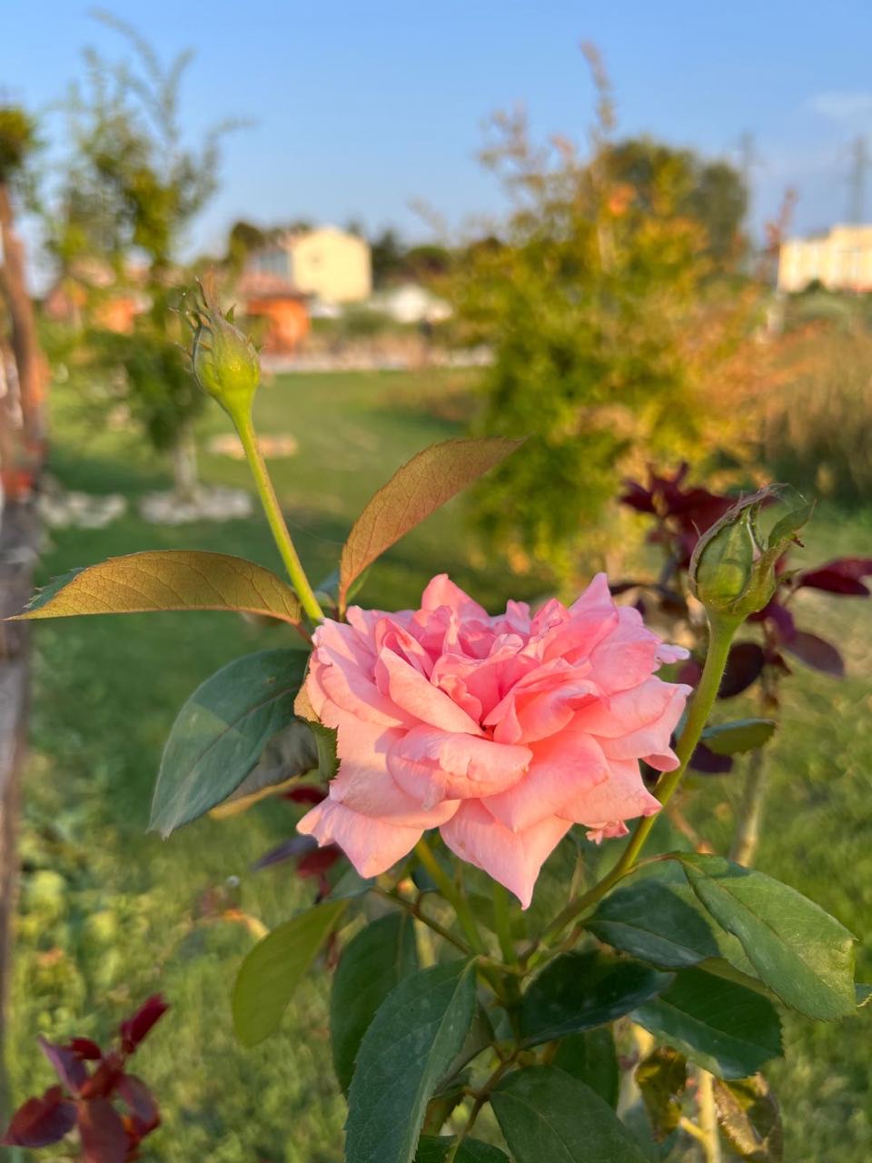 Riapertura-Podere-Leoni-4