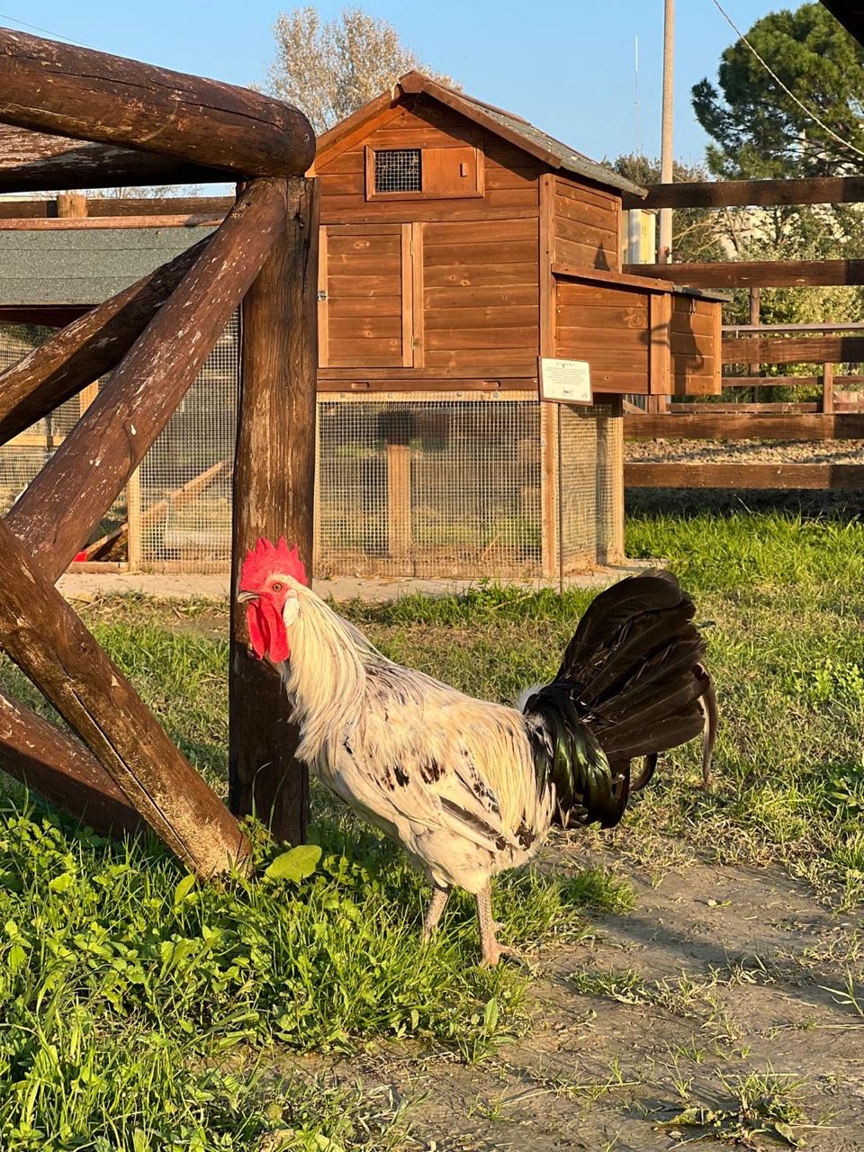 Riapertura-Podere-Leoni-8